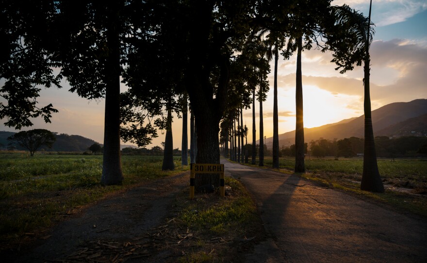 The sun sets on a road at  Hacienda Santa Teresa. According to Bernardo López, manager of the Santa Teresa Foundation, three gang members broke into the hacienda in 2003, in the hope of stealing the security guards' weapons. Instead of punishment, they were offered a chance to atone for their crime by working unpaid at the distillery for a few months.