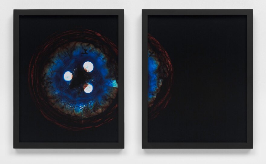 "Glass Study (Image 5)" is a 2014 chromogenic photogram diptych by Kelly Akashi, on view at MCASD La Jolla through Feb. 14, 2024.  