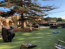 Live Music with 'Fish and the Seaweeds'