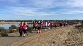 People walk along San Diego Bay during the Susan G. Komen 3-day walk, Nov. 24, 2016.