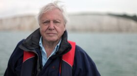 Sir David Attenborough, host of "How Many People Can Live On Planet Earth?"