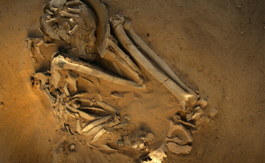 Skeleton of a man buried with his head in a pot.