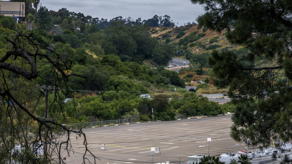 San Diego City Council approves Unsafe Camping Ordinance by 5-4 vote - Vimarsana News