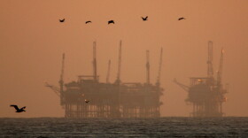 California brown pelicans fly near offshore oil rigs after sunset on July 21, 2009 near Santa Barbara, California. 