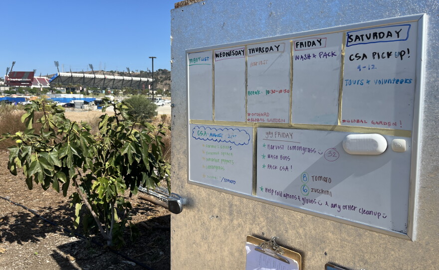 A board with the schedule for Make Farms is displayed on a shed, Aug. 21, 2026.