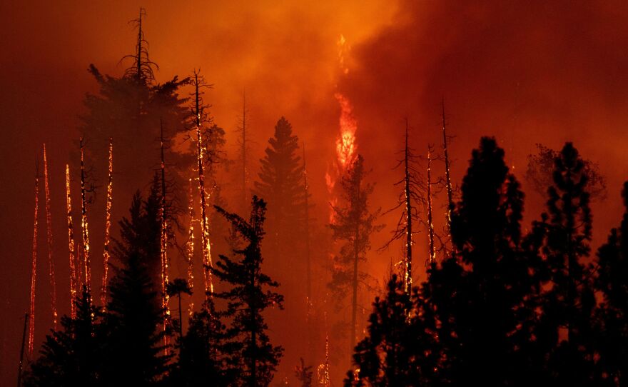 A forest is incinerated by the Oak Fire near Midpines, northeast of Mariposa, Calif., on July 23, 2022.