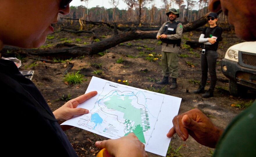 Members of the environmental team survey a map of the Jacunda National Forest during their operation.