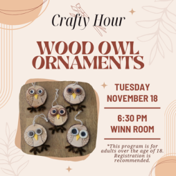 Crafty Hour: Wood Owl Ornaments