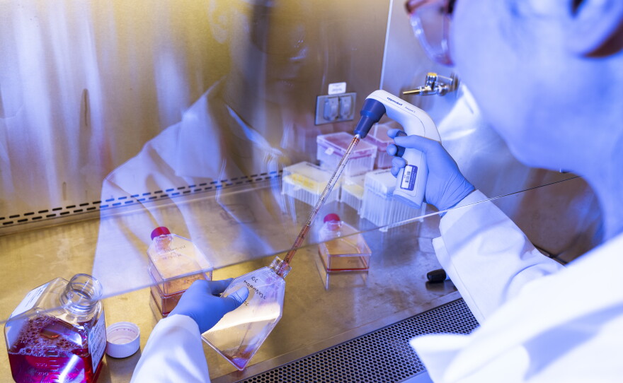 Cathy Tie, the founder and CEO of Origin Genomics, replenishes nutrients sustaining cells the New York City startup is using to test its technology for repairing defective genes.