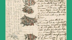 Doodle by artist George Cruikshank in <em>Scrawl. </em>