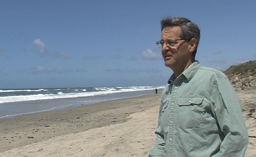 UC San Diego biologist Joshua Kohn looks over a stretch of San Diego's coastline, March 29, 2016. 