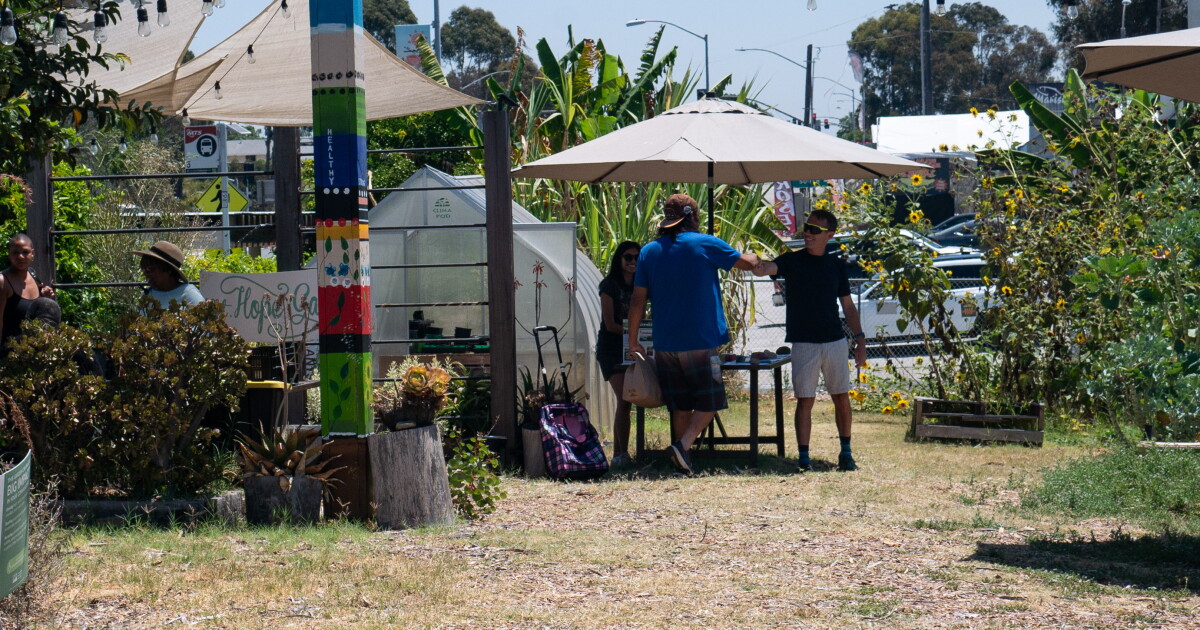 How community gardens grow food and give back | KPBS Public Media