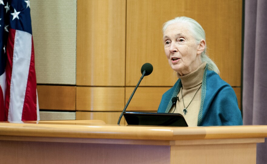 Jane Goodall spoke at the U.S. Department of State this week.