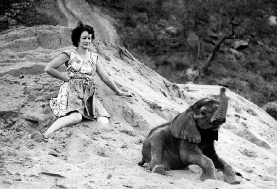 Daphne Sheldrick in sand with Schmetty, an elephant.