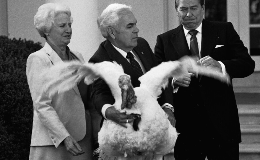 President Ronald Reagan is startled as John Hendrick (center), President of the National Turkey Federation, presents him with a turkey in 1984.