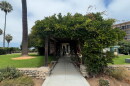 The Wisteria from which Wisteria Cottage gets its name is shown at the Cottage on August 10, 2026.