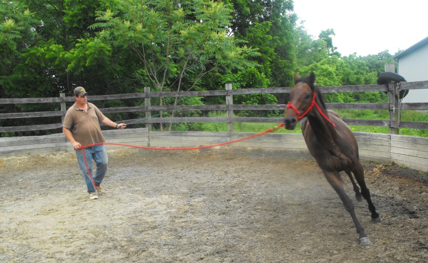 Riding teacher Will Burke works with Hoke at the ex-racehorse's new home at Double H Stable, at the foot of the Blue Ridge Mountains in Virginia.