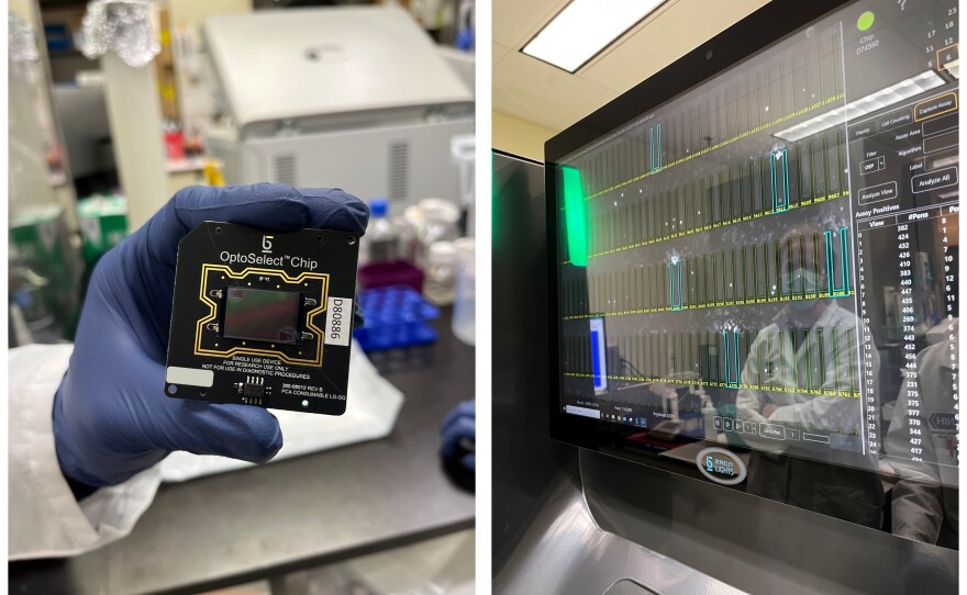 Right: Tan holds a chip ready to be loaded with immune cells that will be be sorted and tested against different viruses. Left: The screen of the Beacon, a machine that isolates individual immune cells so researchers can test which ones respond strongly to more than one coronavirus.