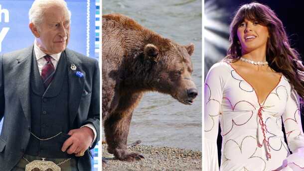 From left: a king, a king of bears, a queen of country.