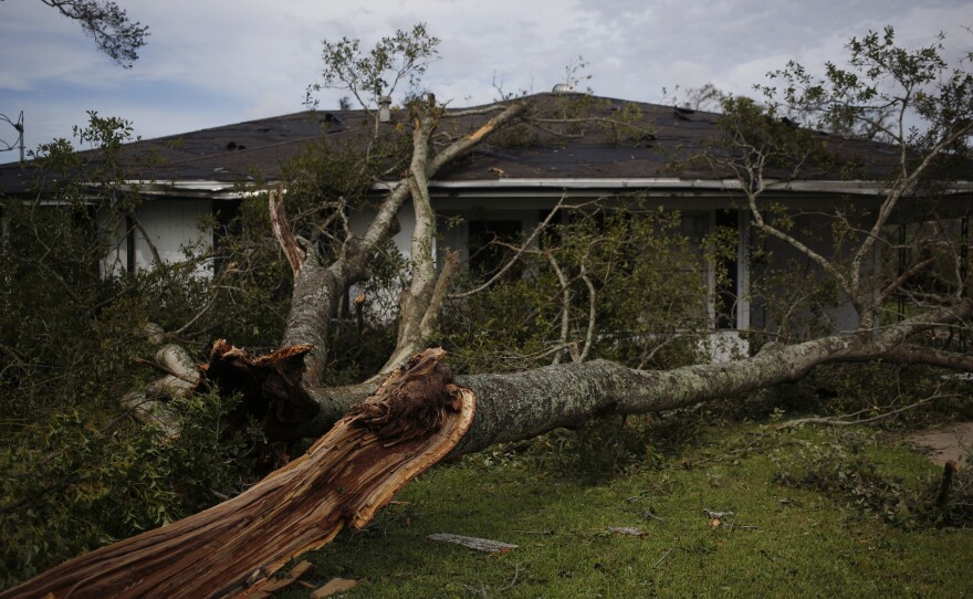 A fallen tree limb in the front yard of a house in Lake Charles, La., after Hurricane Laura made landfall on Thursday.