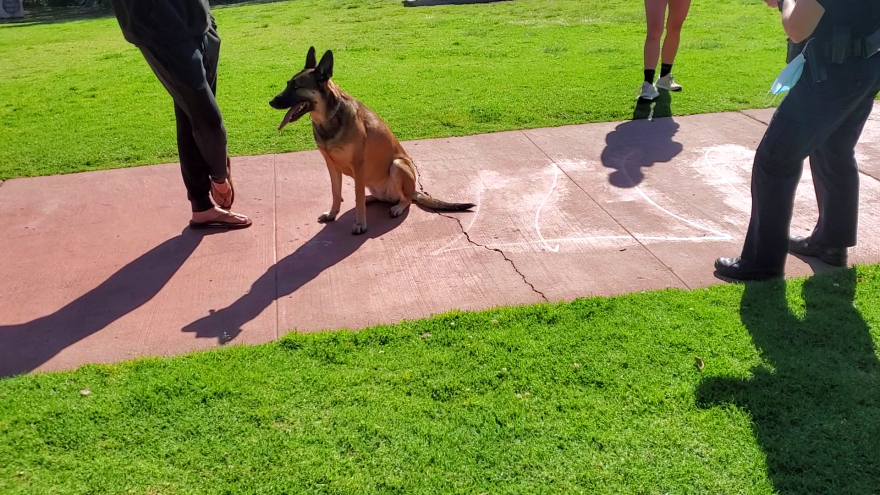 Sierra Dockery writes a citation for an off leash dog at Kate Sessions Park in Pacific Beach, Feb. 2, 2022.