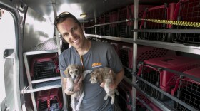 An ASPCA volunteer helps unload two of the 25 dogs from a crowded Los Angeles shelter taken to the San Diego Human Society for adoption, June 11, 2014.