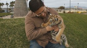 Host Jorge Meraz gets a rare chance to hold a baby tiger at the Tijuana Zoo. 