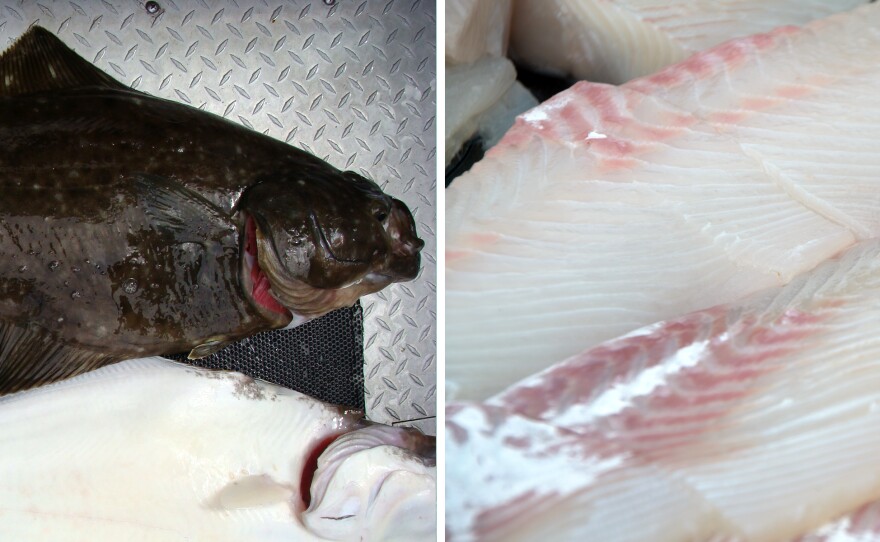 Pacific Halibut from Cook's Inlet, Alaska; Pacific halibut fillet from Seldovia, Alaska.