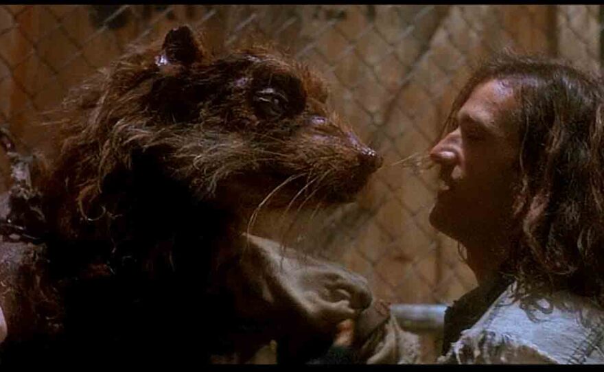 Splinter as wonderfully designed by Jim Henson's Creature Shop in the 1990 TMNT movie with Elias Kostas.