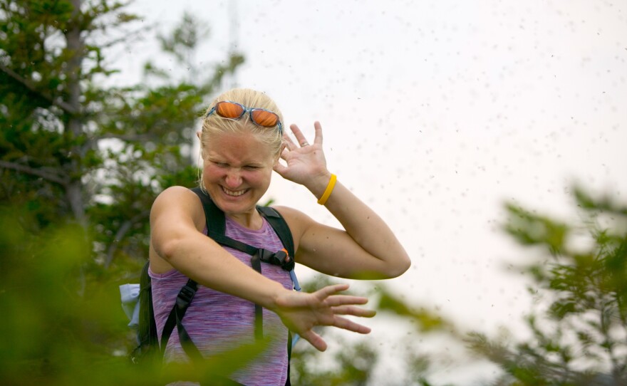 Female hiker being attacked by bugs on the Welch-Dickey trail.