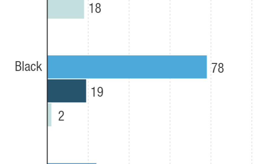 2008-south-carolina-democratic-primary_chartbuilder-1-_custom-2c64c5b7de8231ba7d3ab43c581c30fc1885be7f.png