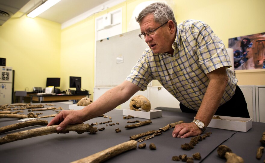 Doug Owsley, a forensic anthropologist at the Smithsonian's National Museum of Natural History, studies every detail of the skeletons.