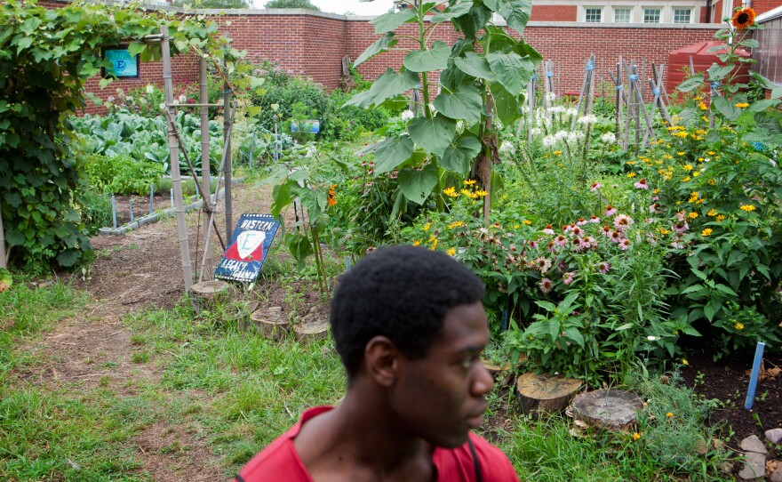 Tall brick walls conceal a colorful garden at Eastern Senior High School in Washington, D.C., where students like Romario Bramwell, 17, harvest flowers and produce. The program is run by City Blossoms, a nonprofit that brings gardens to urban areas.