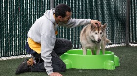 D'Angelo Garcia helps train a 7-year old husky mix at the San Diego County Animal Services shelter in Bonita as part of a workforce development program on October