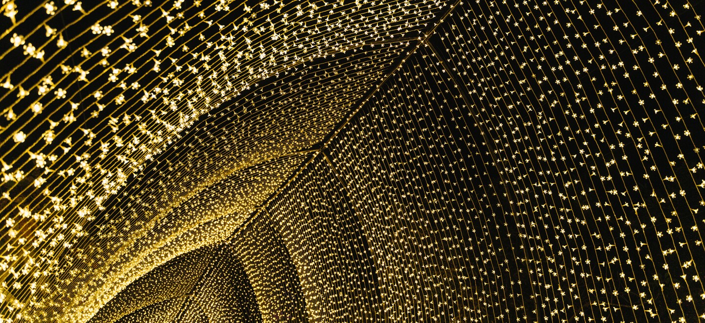 The "Winter Cathedral" installation in San Diego Botanic Garden's "Lightscape" is shown in an undated photo.