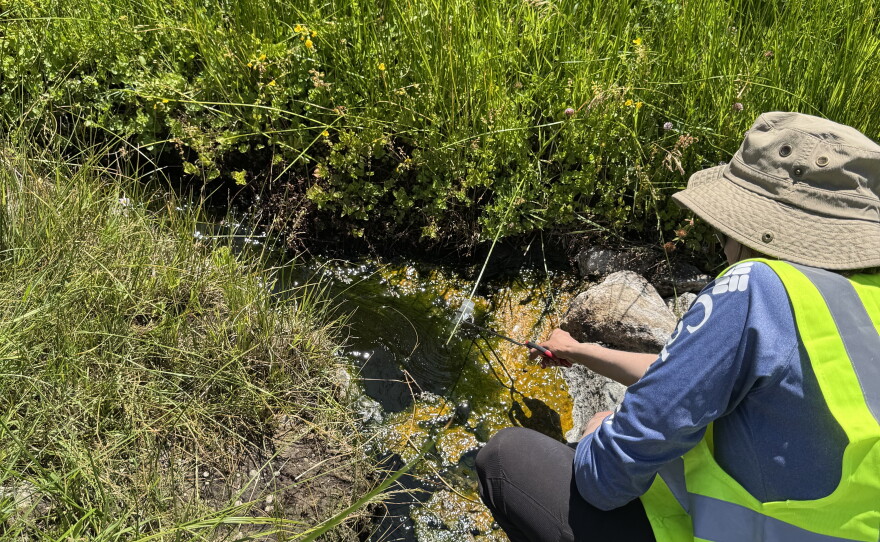 Beryl Rappaport takes a sample from a tributary of Hot Springs Creek in Lassen Volcanic National Park in northern California.
