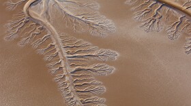 The Colorado River ends in the Sonoran Desert about five miles before the Gulf of California, 2009.