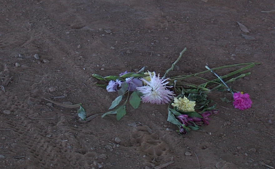 Flowers are on the ground near the site where 53-year-old Angelo DeNardo was killed, July 5, 2016.