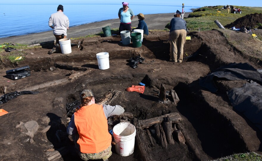 A team of volunteers rushes to excavate an ancient hunting cabin near Utqiagvik, Alaska, the town formerly known as Barrow.