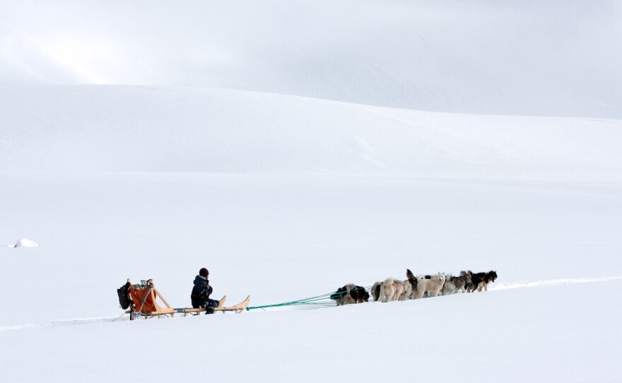 A lot of people think the cold climate could be a reason for suicide. But in fact, "suicide season" is spring. Above, a team of dogs and sled driver approach a glacier outside Tiniteqilaaq.