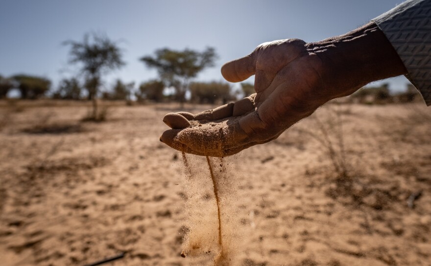 A farmer displays a handful of sandy soil at his field outside Sakal, Senegal. The farm was part of a Great Green Wall project and thrived for a time before falling into disrepair and reverting to desert.