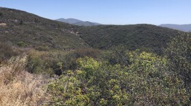The LeoMar preserve has been saved thanks to funding from the state and federal government, pictured here on  Jun. 18, 2021