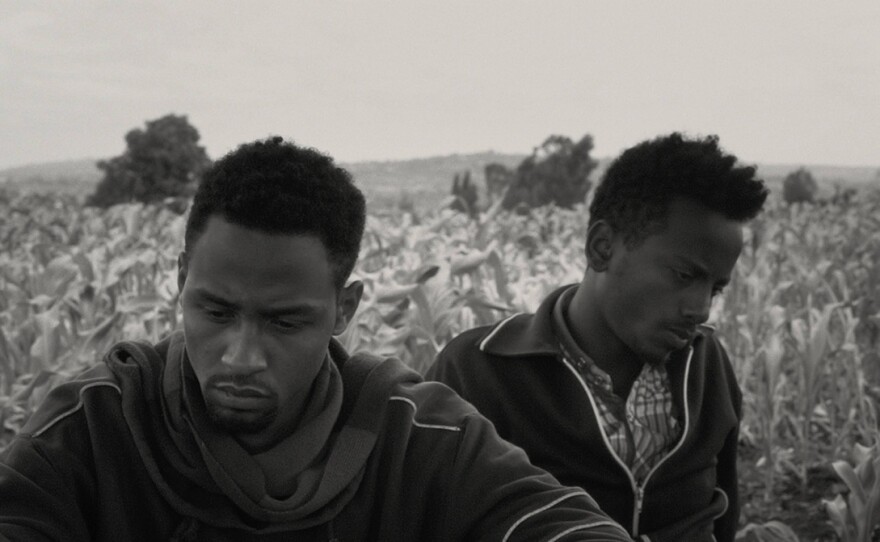 A scene from "Faya Dayi"