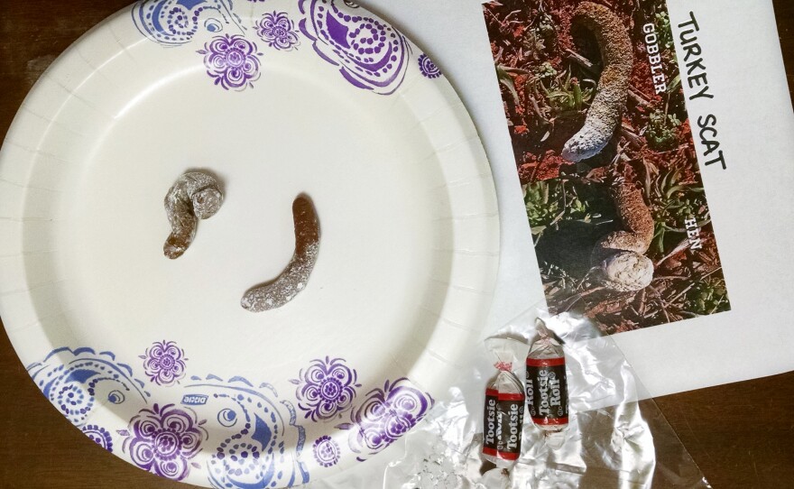 All you need to make edible turkey scat is a good picture of the real scat, a few tootsie rolls, and some powdered sugar!