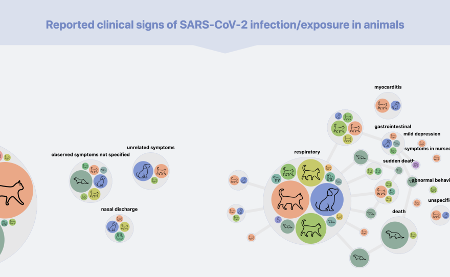 This graphic, part of an interactive <a href="https://vis.csh.ac.at/sars-ani/#infections">COVID data tracking dashboard</a> rendered by Complexity Science Hub Vienna, shows reported clinical signs of SARS-CoV-2 infection or exposure in animals. Note: "subclinical" means no detectable symptoms.