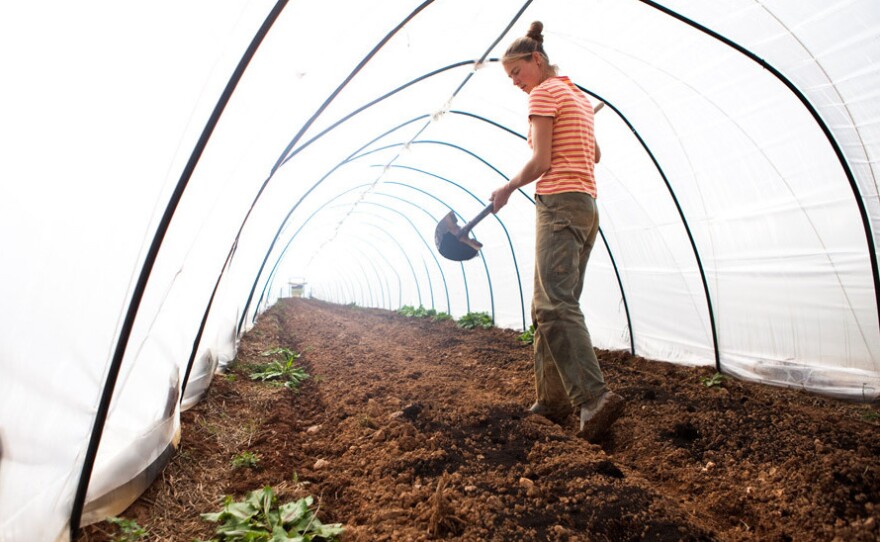 Katherine Stewart spreads compost as the farm prepares to start a new crop of greens.