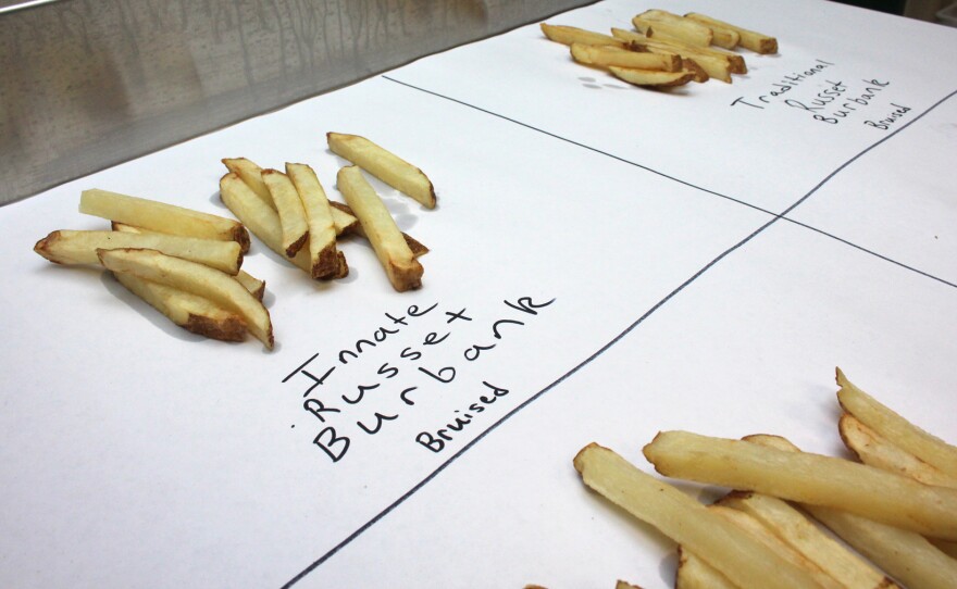 Michigan State's researchers cooked up two batches of fries to compare bruising in traditional, non-GMO potatoes, left, and GMO potatoes, right.