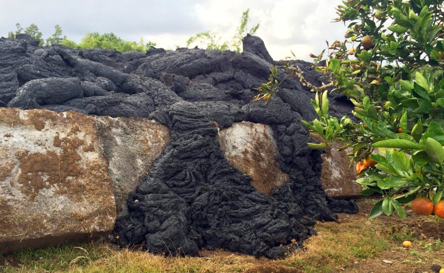 Lava near the leading edge of the flow oozing over a concrete slab and towards a tangerine tree before solidifying near the town of Pahoa on the Big Island of Hawaii earlier this week.