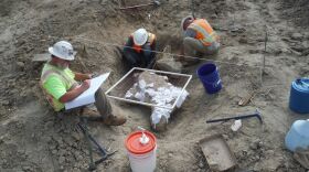 Workers discovered ice age fossils at a construction site in Carlsbad in this undated photo.