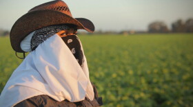 Maricruz Ladino (pictured), whose story is featured, is one of many women who say they have been sexually assaulted while working in America's fields, farms and factories.